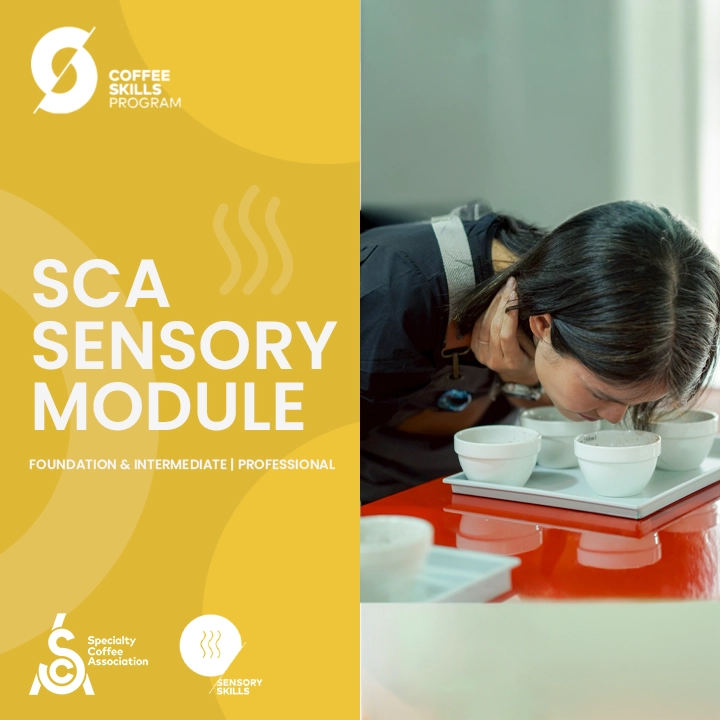 Sensory Skill