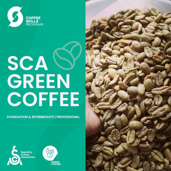 SCA Green Coffee